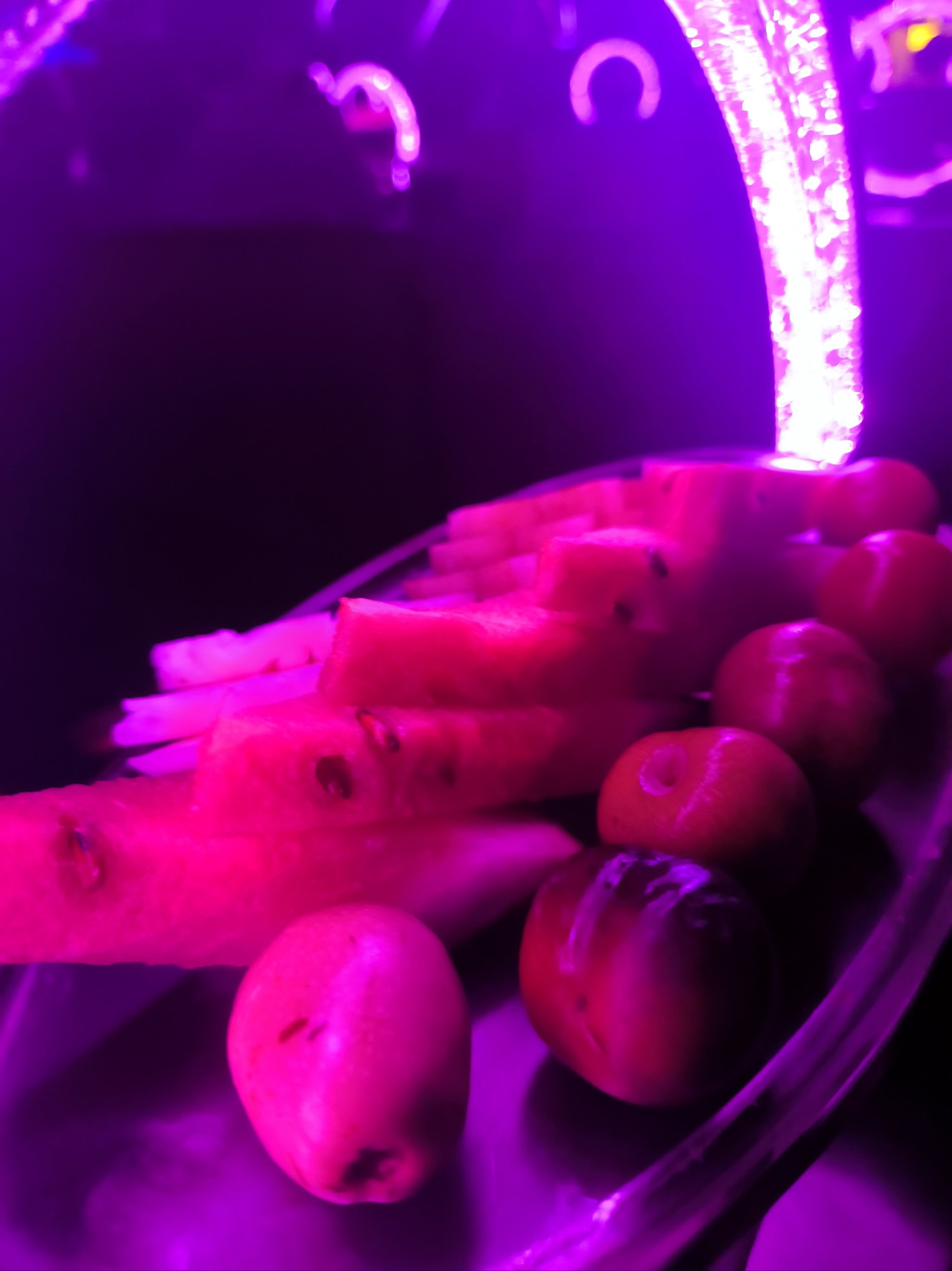 唐山商务ktv尊享高品质娱乐体验-迁安市ktv预订